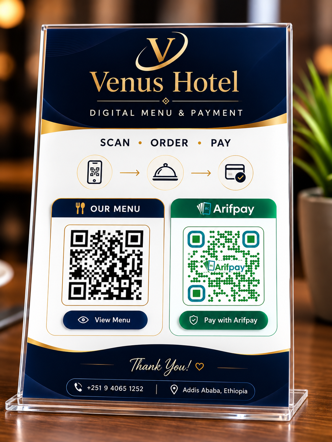 Venus Future Systems Preview